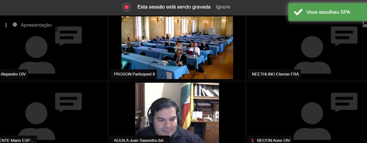 Captura de tela com reunião virtual da OIV com imagem dos participantes presenciais e do professor Juan Saavedra
