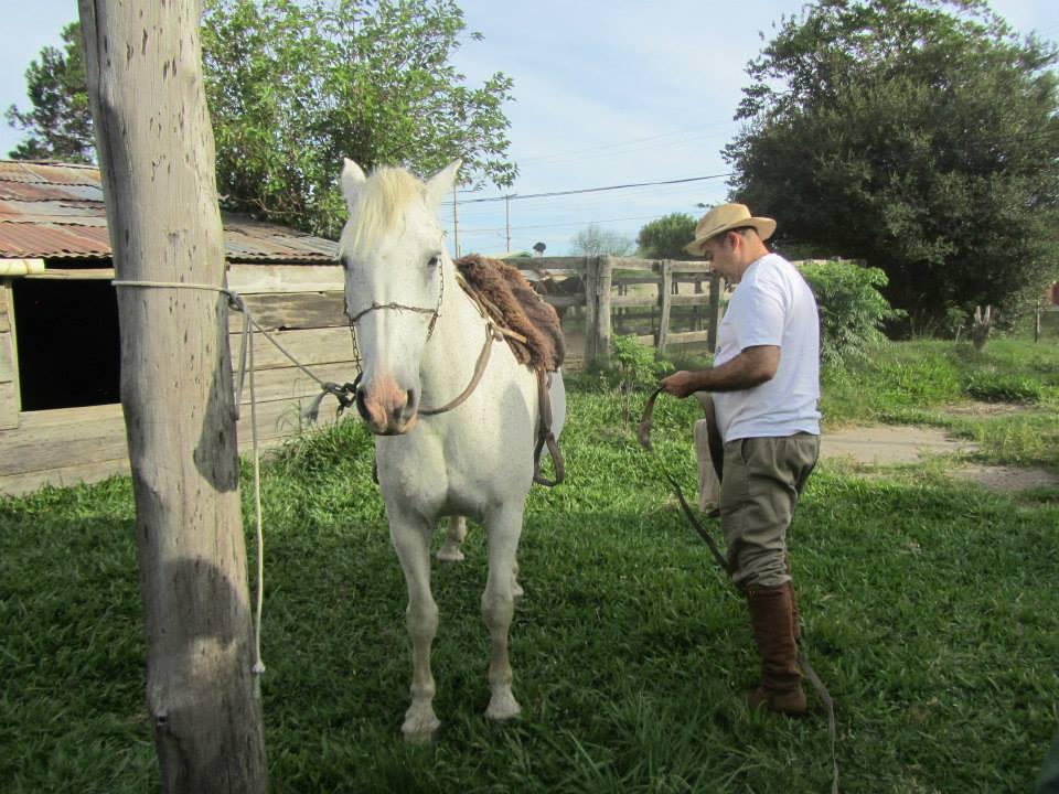 um cavalo de pelagem clara está atado a um poste de madeira, e um homem prepara o animal para uma sessão de equoterapia