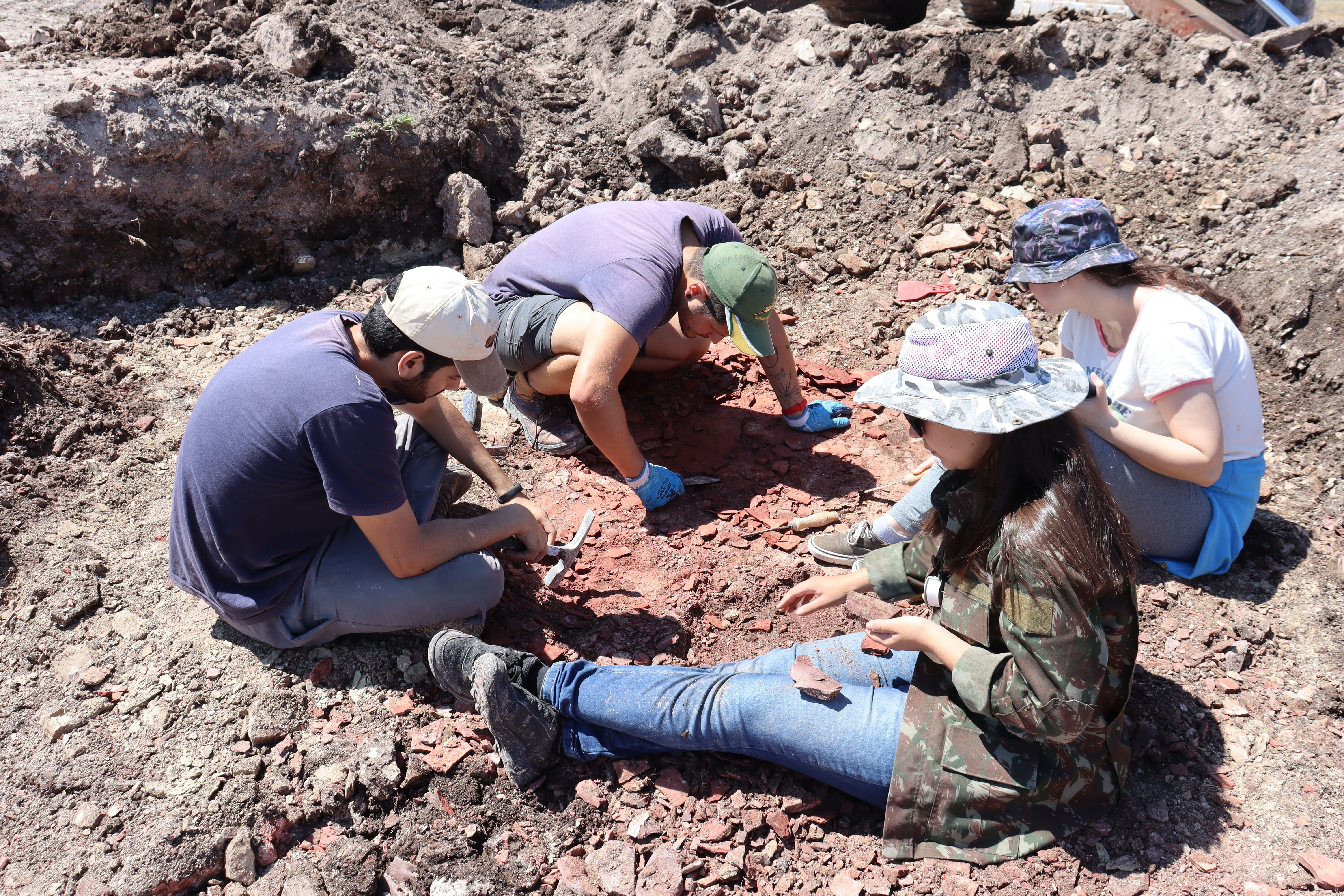 Pesquisadores realizando trabalho de campo para coleta dos fósseis - Divulgação