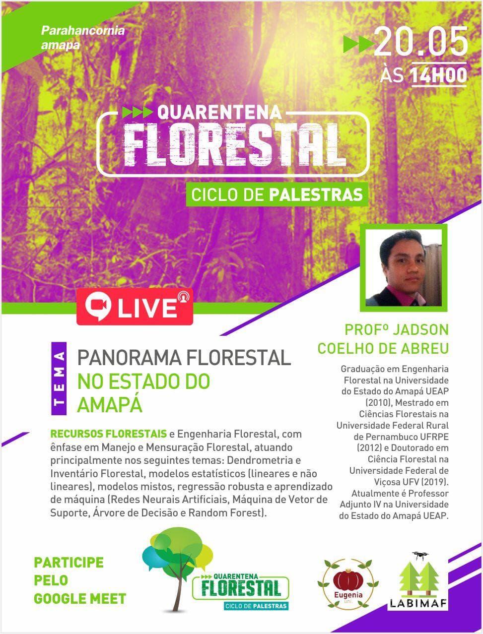 Palestra Panorama Florestal do Estado do Amapá