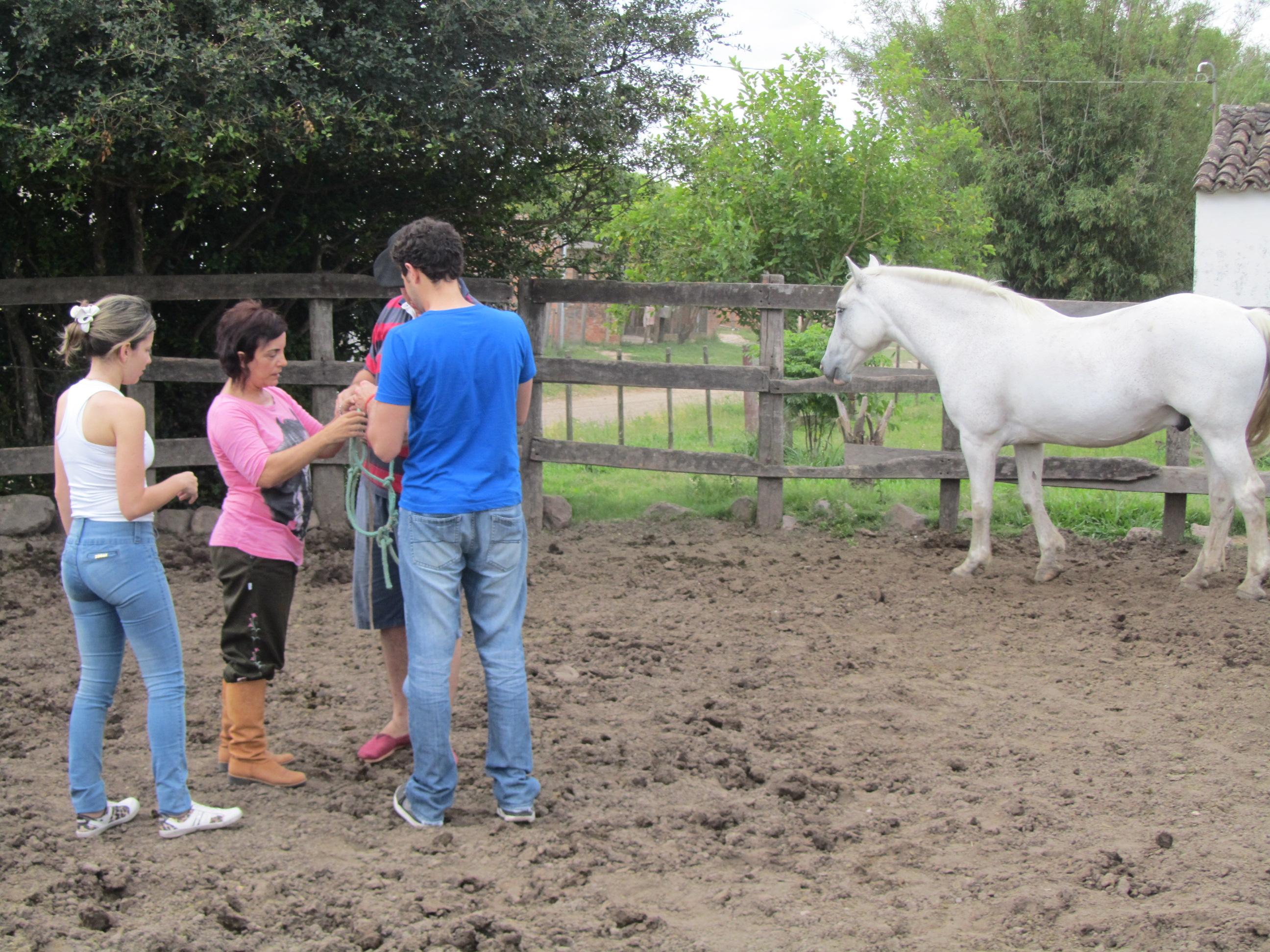 Foto: Arquivo Projeto Aproximando Pessoas e Cavalos