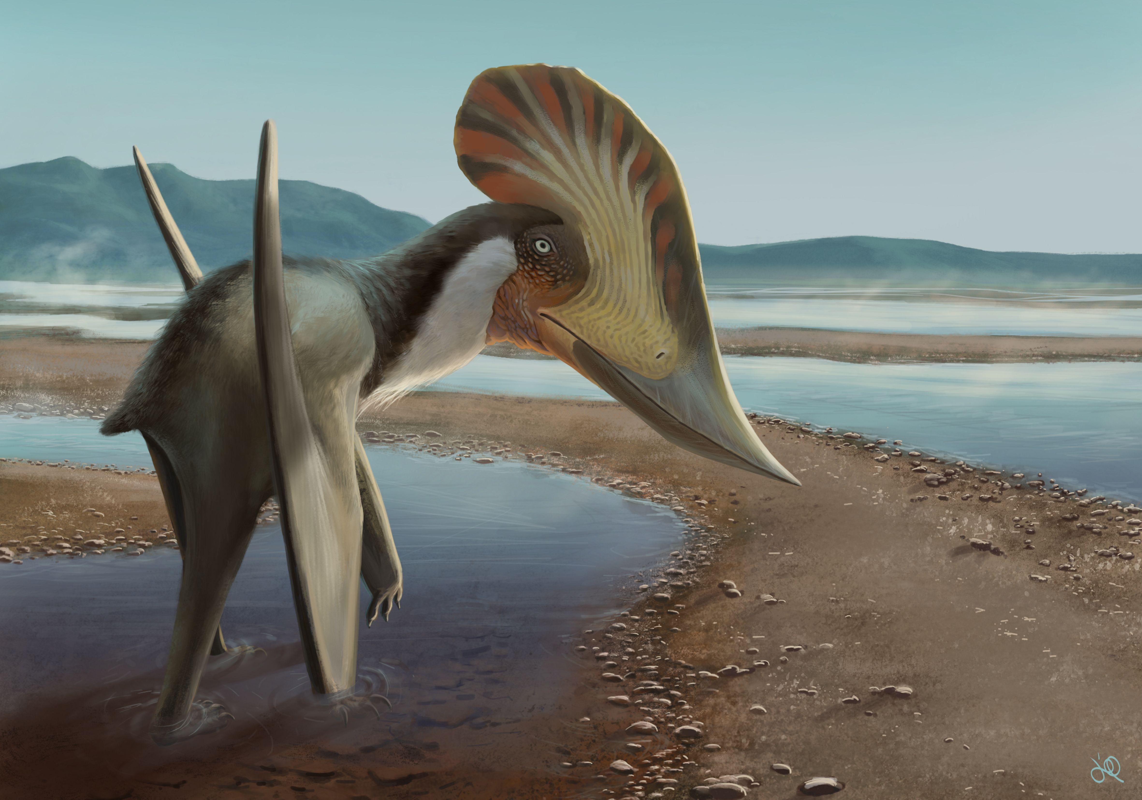 ilustração representa o kariridraco, animal alado pousado em uma praia