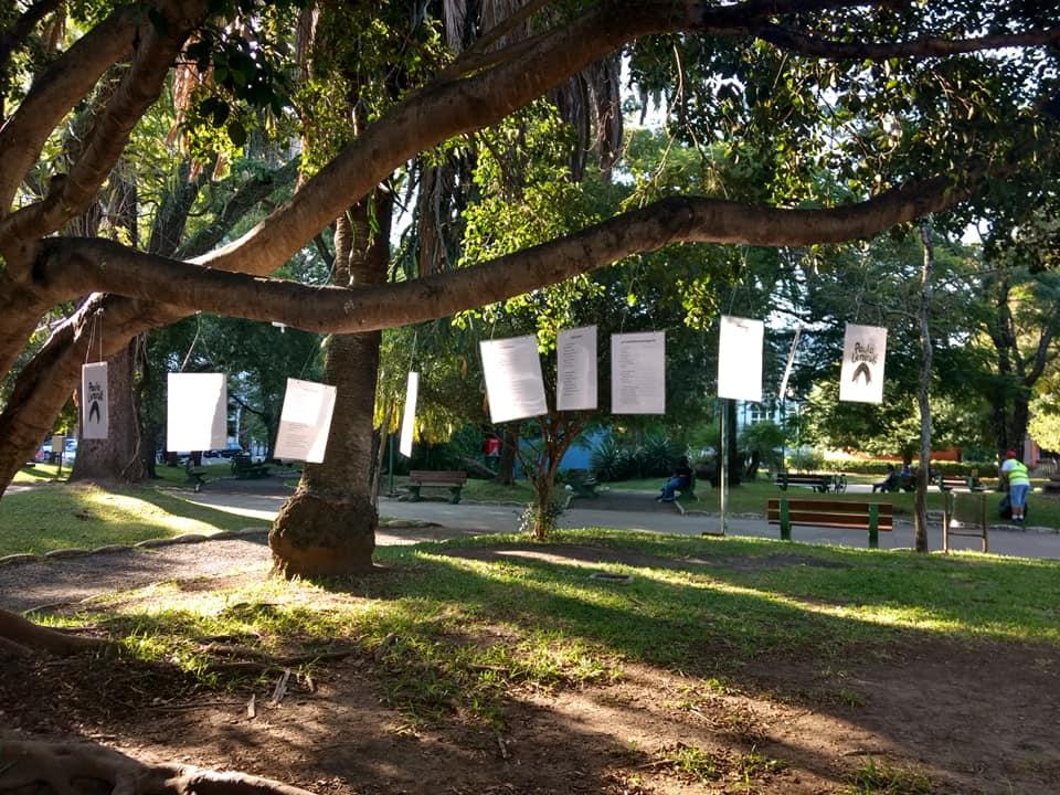 Alguns dos locais selecionados para a mostra: a Praça Barão do Rio Branco, no centro da cidade, e o Parcão | Foto: PET - Fisiote